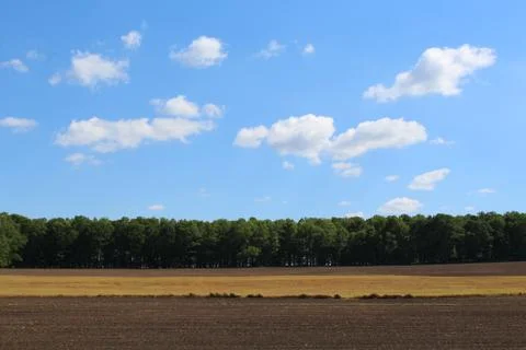 Farm field in the spring Stock Photos