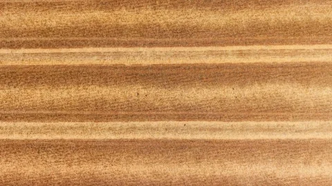 Farm field stubble pattern from drone. Harvested agricultural land with parallel Stock Footage 346605162