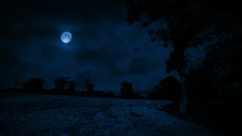 Farm Field Under A Full Moon Stock Footage 166979791