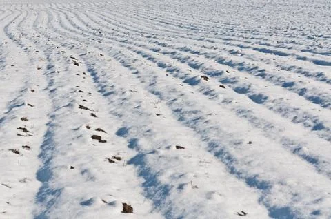 Farm Field in Winter Stock Photos
