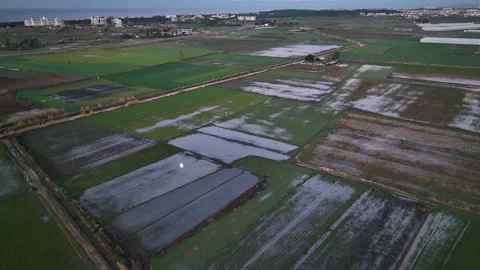 Farm Fields Background Texture 4 K Aerial View 4K Stock Footage 221947781