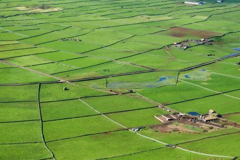 Farm fields with cows top view in the Terceira island in Azores Stock Photos