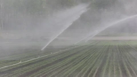 Farm fields dry weather and drought w water sprinklers for irrigation of crops Stock-Footage 154487476