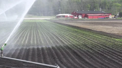 Farm fields dry weather and drought w water sprinklers for irrigation of crops 库存影片 154488042