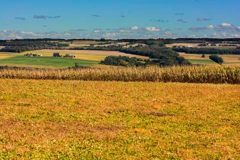 Farm fields Stock Photos