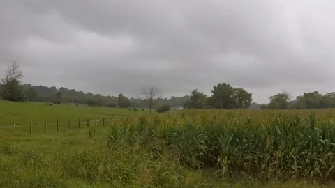 Farm fields in the rain Stock Footage