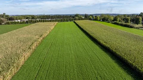 Farm Fields Show Different Stages of Crop Growth in a Rural Area on a Sunny D Stock-Fotos
