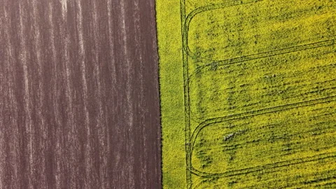 Farm fields showing contrasting soil and crop colors in an aerial view taken Stock Footage 342482453