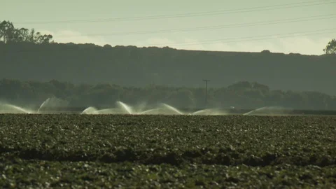 Farm Fields Spraying Water and Pesticides Stock Footage 123777731