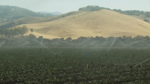 Farm Fields Spraying Water and Pesticides Stock Footage 123778575