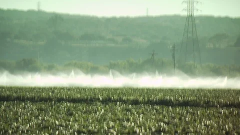 Farm Fields Spraying Water and Pesticides Video stock 123778925
