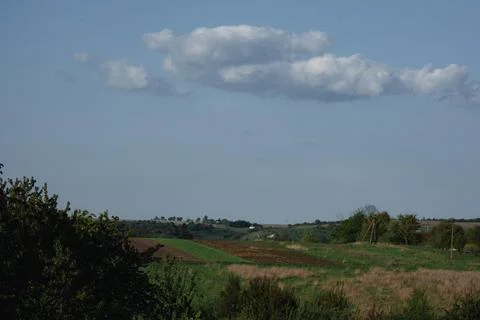 Farm fields in spring Foto stock