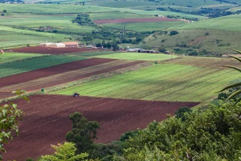 Farm Fields Vegetable Crops Stock Photos