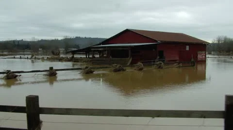 Farm flood Stock-Footage 11636723