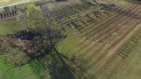 Farm Fly Over Stock Footage 99116963