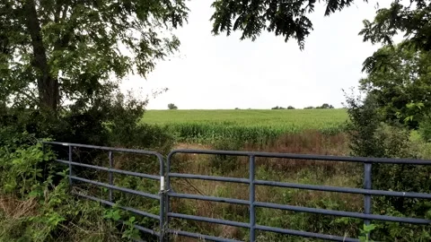 Farm flyover 1 Stock Footage 136899609