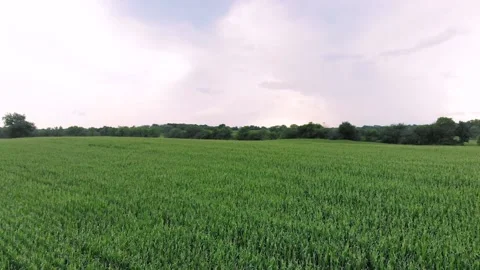 Farm flyover 10 Stock Footage 136899651