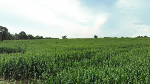 Farm flyover 12 Stock Footage 136899663