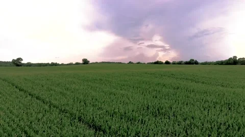 Farm flyover 2 Stock Footage 136899850