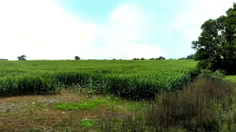 Farm flyover 7 Stock Footage 136899647