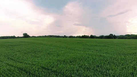 Farm flyover 8 Stock Footage 136899632