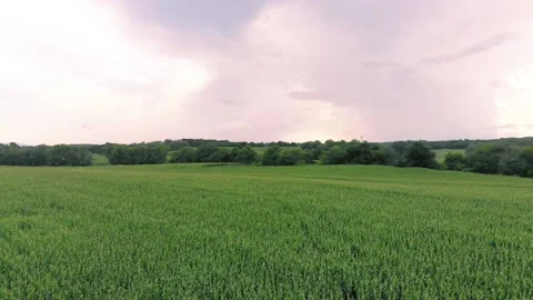 Farm flyover 9 Stock Footage 136899658