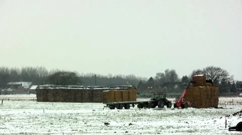 Farm Video stock 7732491