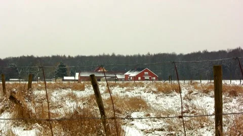 Farm Video stock 7732911