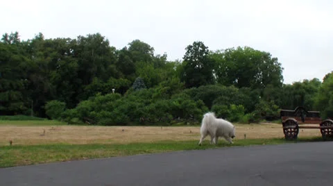Farm 스톡 동영상 25041793
