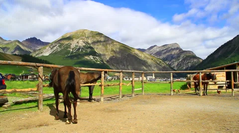 Farm Stock Footage 30644967