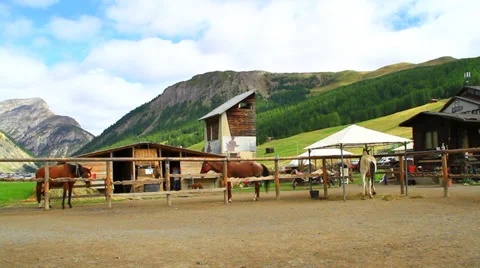 Farm 库存影片 31453106