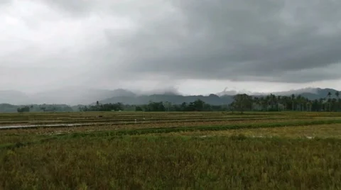 The farm Stock Footage 44524534