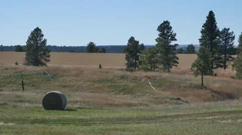Farm Stock Footage 48480487