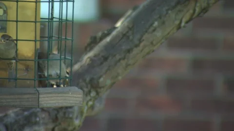 Farm Stock Footage 123917815