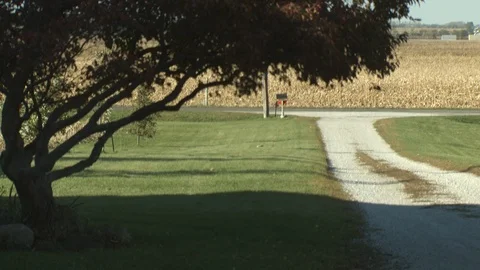 Farm Stock Footage 123917854