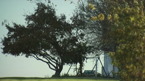 Farm Stock Footage 123918011