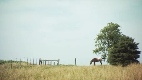 Farm Stock Footage 123918062