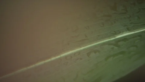 Farm Stock Footage 123918475