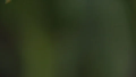 Farm Stock Footage 123918543