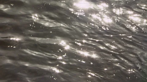 Farm Stock Footage 123919546