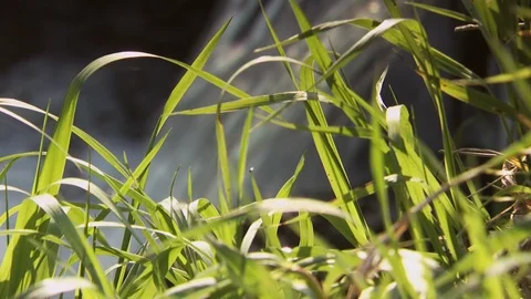 Farm Stock Footage 123919705