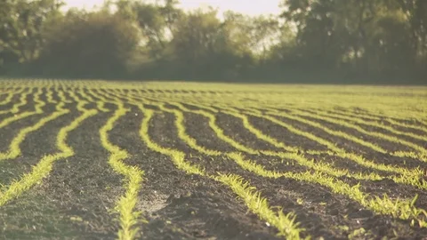 Farm Stock Footage 123919741