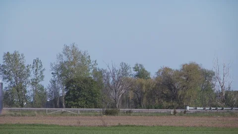 Farm Stock Footage 123920029