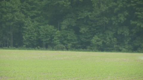 Farm Stock Footage 123920159