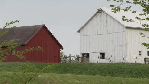 Farm Stock Footage 123920303