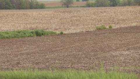 Farm Stock Footage 123920440