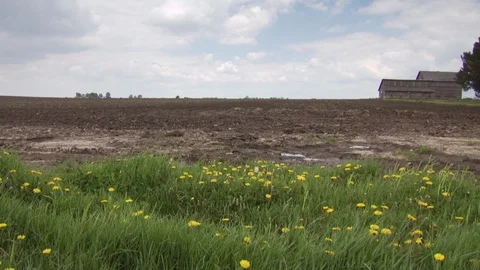 Farm Stock Footage 123921064