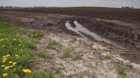 Farm Stock Footage 123921155