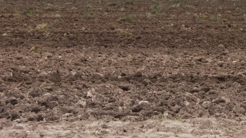 Farm Stock Footage 123921217