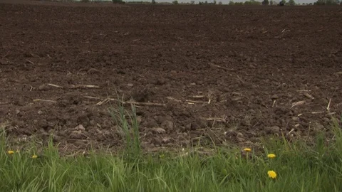 Farm Stock Footage 123921408